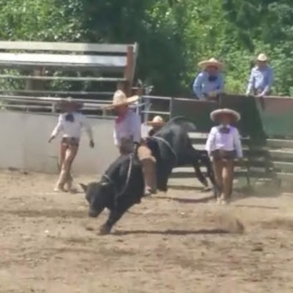 Meet your Posher, Jorge - Picture 1 of 1